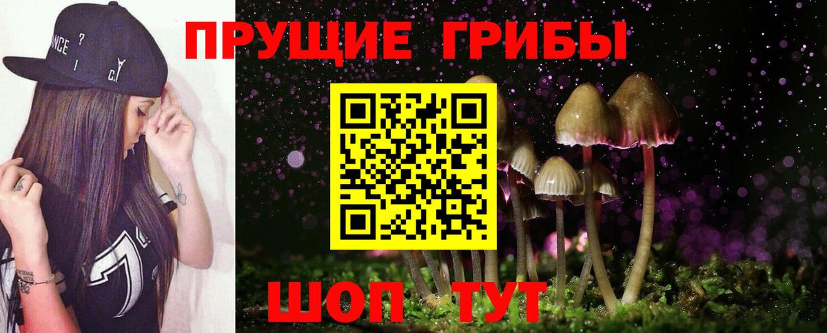 Псилоцибиновые грибы GOLDEN TEACHER  Псилоцибиновые грибы MAGIC MUSHROOMS  Вход с VPN  Кировск 
